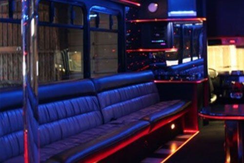 30 passenger party bus