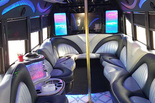 28 passenger party bus